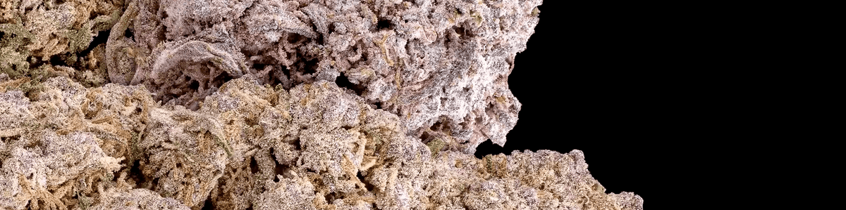 Close-up of frosty cannabis buds densely covered in white trichomes on a black background.