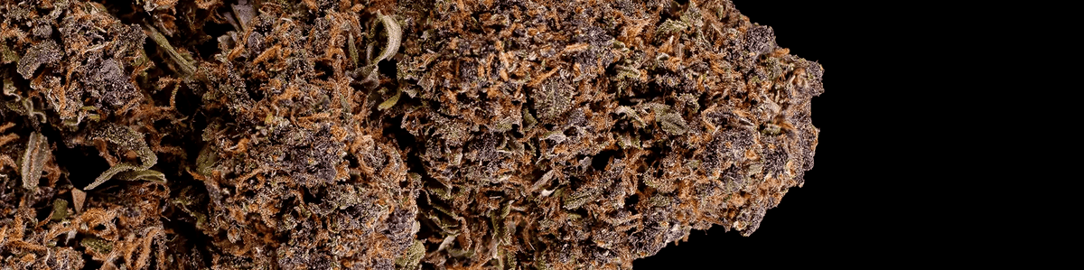 Close-up of CBD-rich cannabis flower with muted green tones and fine crystal coverage.
