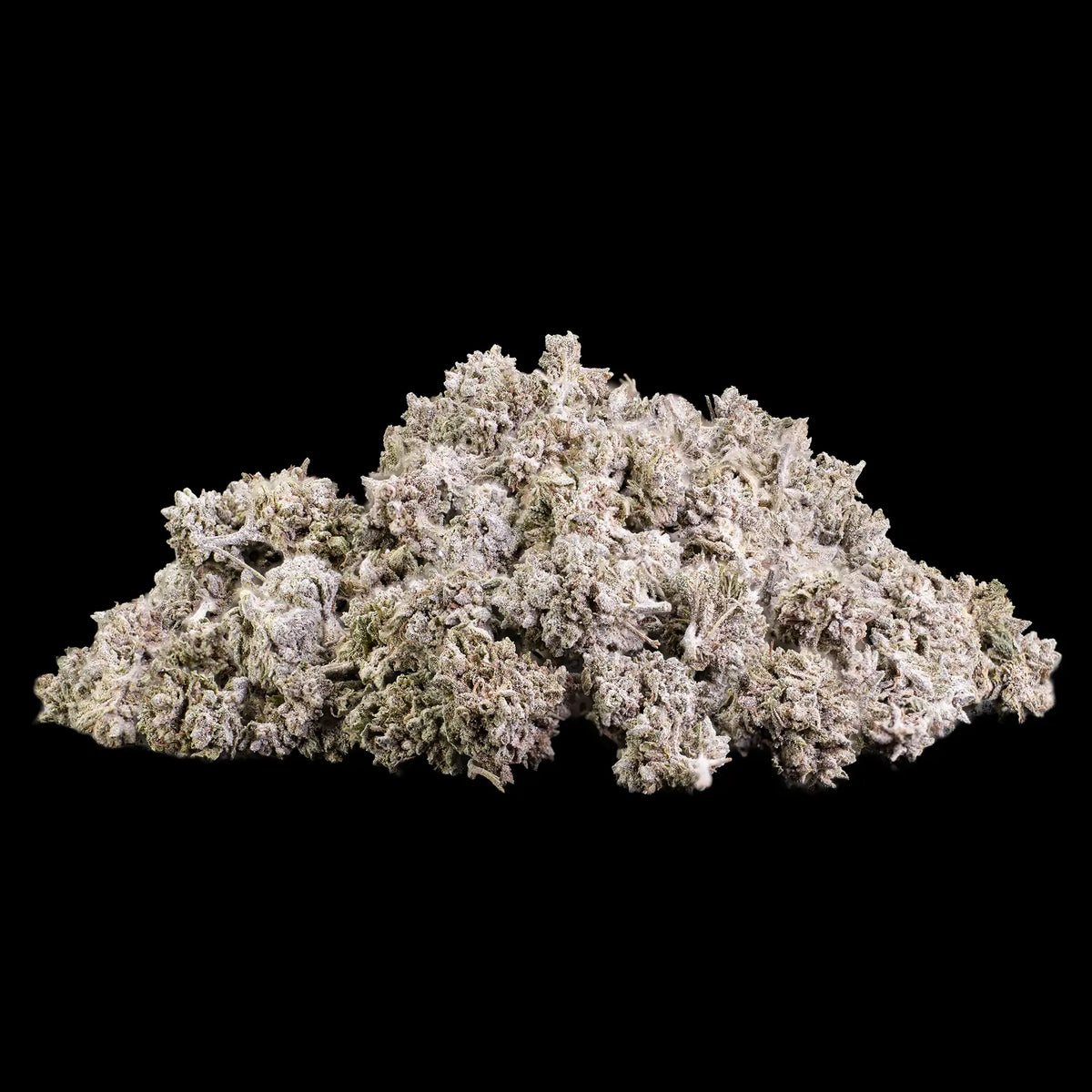 Popcorn Buds