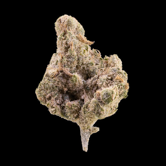 Amnesia Indoor 23% THCA cannabis flower with dense popcorn buds
