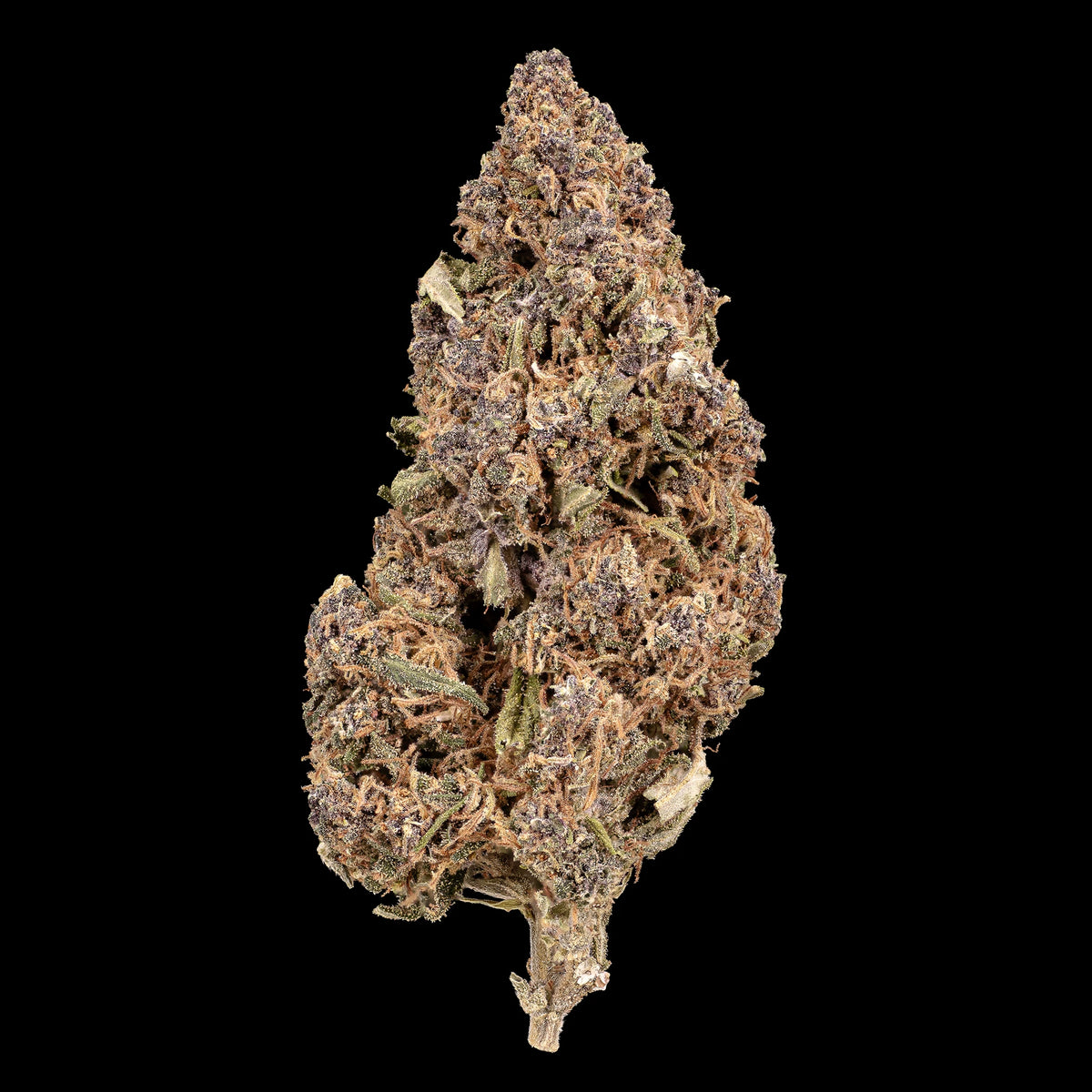 Sundae Diver 17% CBD glasshouse cannabis flower with frosted green buds
