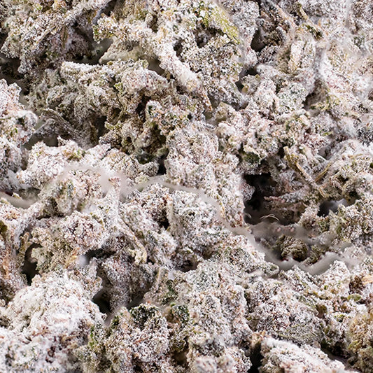 Close-up of Bruce Banner popcorn buds showing dense structure
