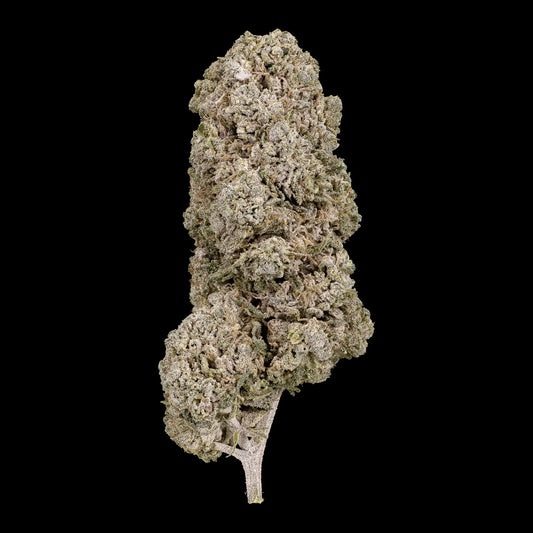 Copenhagen Kush 23% THCA indoor cannabis flower with dense frosted buds