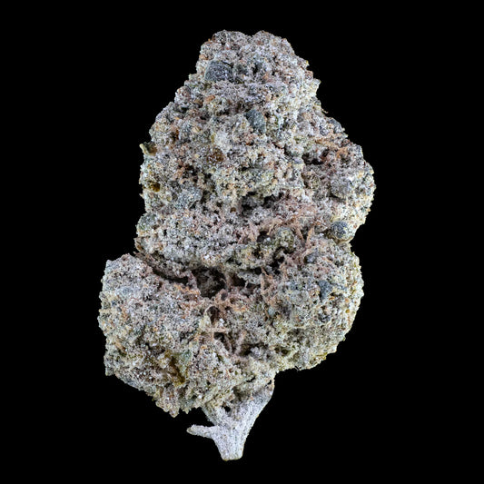Cosmic Kush 23% THCA indoor cannabis flower with purple tones and dense trichomes