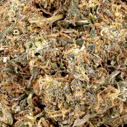 Close-up of Groovy Ganja CBD bud showing orange pistils and trichomes