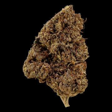 Hippie Harvest 14% CBD glasshouse cannabis flower with green and golden tones