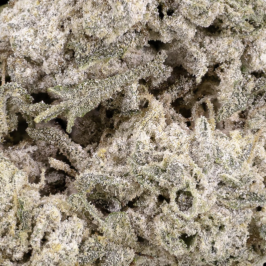 macro shot trichomes cannabis