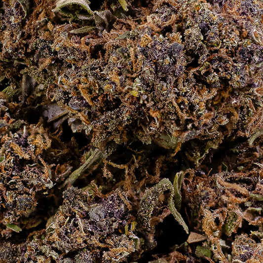 Close-up of Purple Puff CBD bud showing trichomes and dense structure