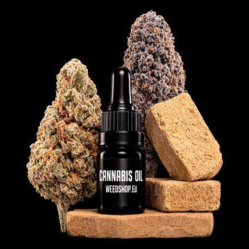 Cannabis oil dropper bottle with cannabis buds and cannabis candy on a black background