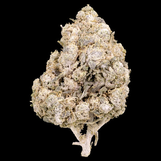 Tsunami 24% THCA glasshouse cannabis flower with dense resin buds