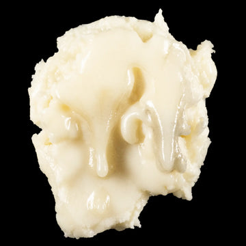 THCA badder cannabis extract with creamy whipped texture